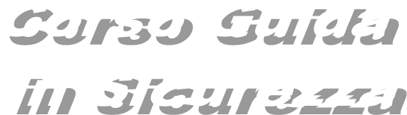 Corso Guida 
in Sicurezza